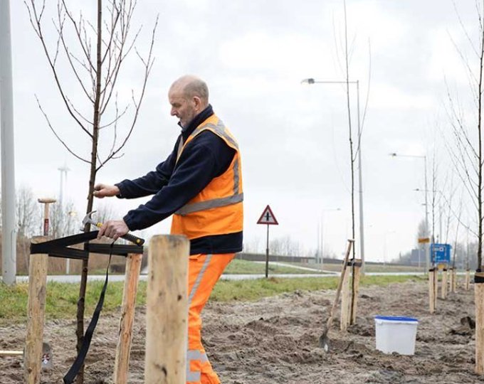 Boomonderhoud langs de N241 tussen Schagen en Verlaat -  juli t/m december 2026 